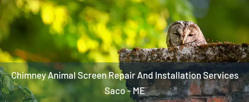  Chimney Animal Screen Repair And Installation Services Saco - ME