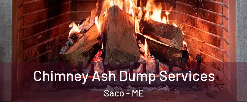  Chimney Ash Dump Services Saco - ME