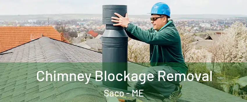  Chimney Blockage Removal Saco - ME