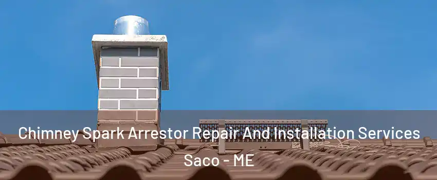  Chimney Spark Arrestor Repair And Installation Services Saco - ME