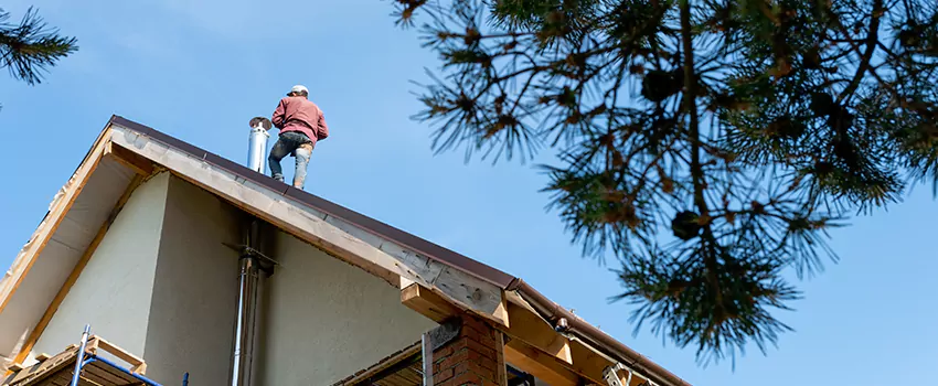 Birds Removal Contractors from Chimney in Saco, ME