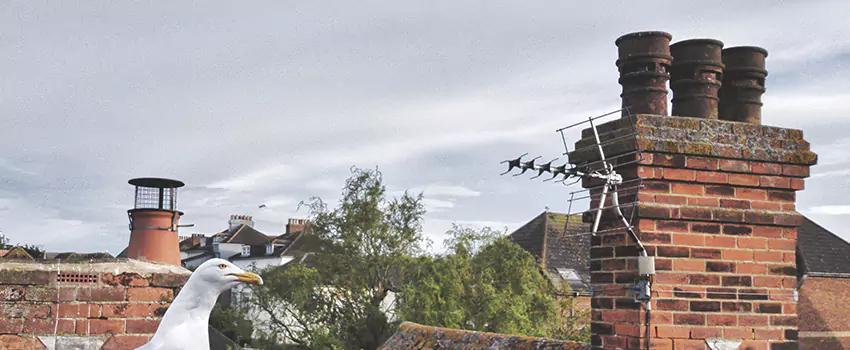 Chimney Cleaning And Restoration in Saco, Maine