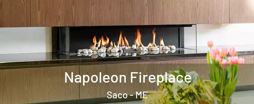  Napoleon Fireplace Saco - ME